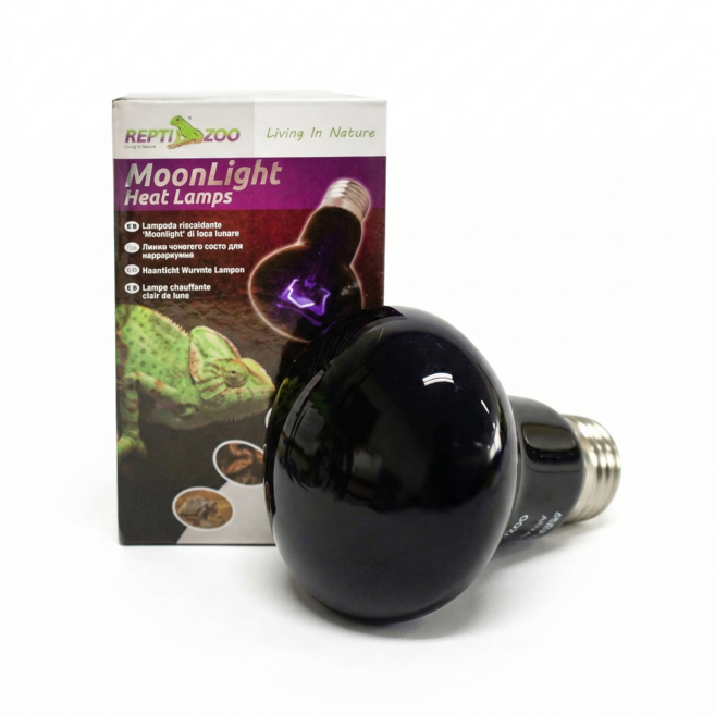 렙티주 문라이트 스팟램프 야간용, 보라색, 1개, 35w