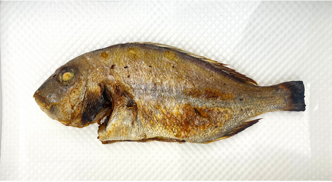 화덕생선구이 단품메뉴 골라담기 전자레인지 간편조리 고등어 볼락 삼치 민어 우럭 박대 가자미 보리굴비 참돔, 참돔구이, 1개