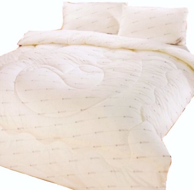 RQ POLO名牌防蹣抗菌被/台灣製手工棉被, 台灣製手工抗菌被