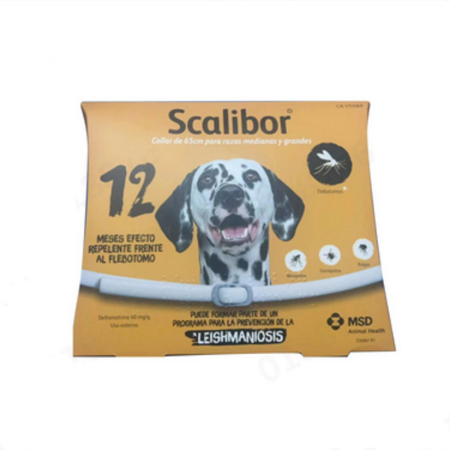 돌단비 강아지 유전자 검사 키트 혈통 DNA 테스트, 1개, 스패니쉬 스파니엘 65cm