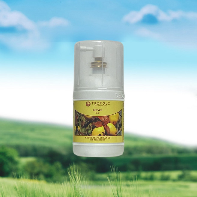 모과화장실 실내 자동분사기 방향제 리필, 1개, 230ml, 모과