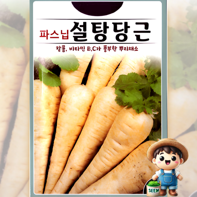 KS종묘 파스닙설탕당근 100립 설탕 뿌리채소 씨앗 종자, 1개