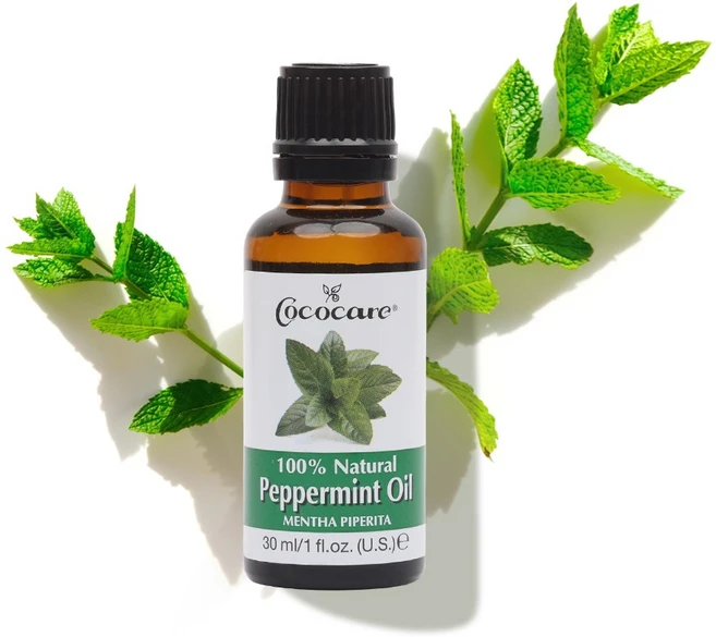 코코케어 100% 페퍼민트 에센셜 오일 30ml, 1개 - 쿠팡