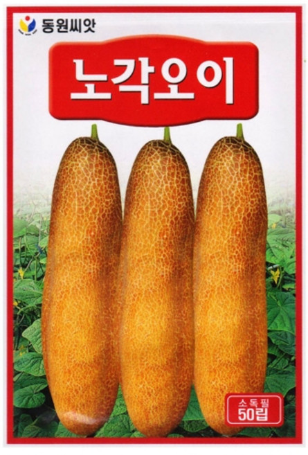 영농사 노각 오이 씨앗 50립 오이씨, 3개