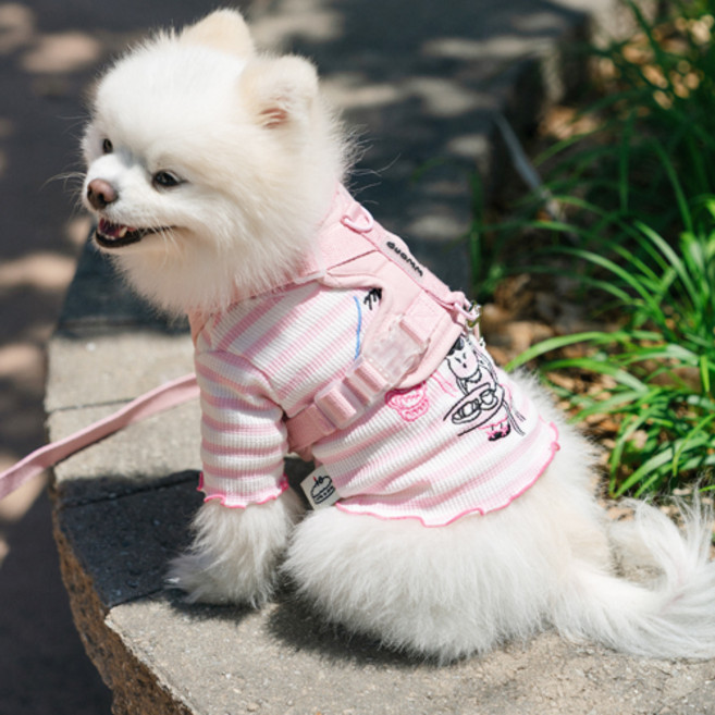 로이벤 편안한 베이직 하네스 + 리드줄 분리형 세트, 1개, 핑크