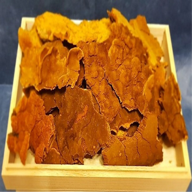 국내자연산 상황버섯 재배아님 국산 야생 그대로 보관 건강 선물 편평형 상황버섯 300g, 1개