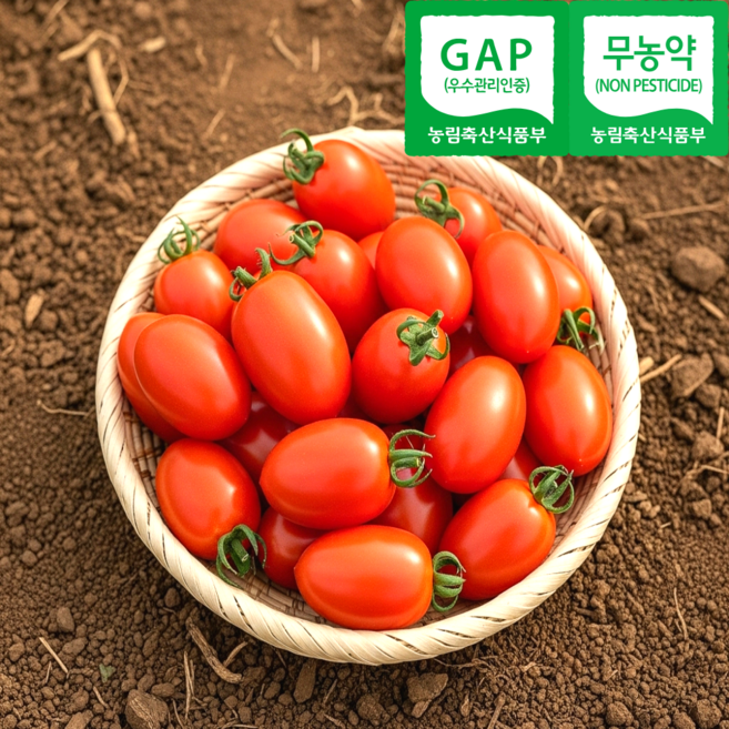 정가네건강농장 GAP 인증 대추방울토마토, 1박스, 1kg (로얄과)