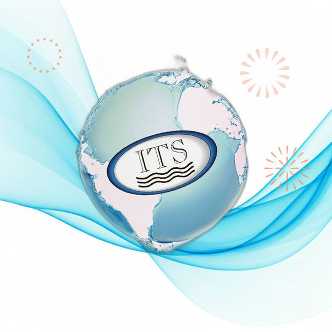 Industrial Test Systems ITS 수질검사 키트 Sensafe 구리 Johns 물 테스트 스트립 481142 30개입 SN, 1개