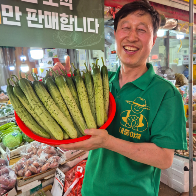 [특품] 당일경매 백다다기 국내산 오이 소박이 피클 오이지용 아삭한, 5개, 1kg