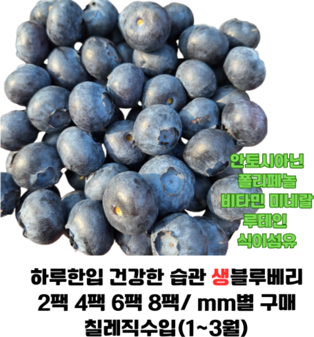 생 블루베리 2팩 4팩 6팩 8팩/ 세계10대 슈퍼푸드 비타민 안토시아닌 폴리페놀 루테인 매일 한입씩 건강습관, 1개, 2팩(16-18mm)