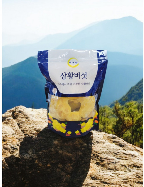 청정 제주상황버섯 제주달 유기농 상황버섯 단품, 1개, 원물B200g