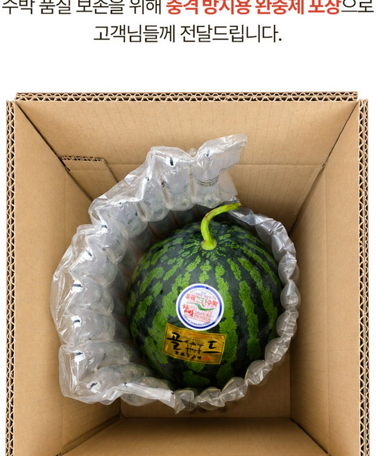 참박수박 정품 5kg 내외, 1개, 단일