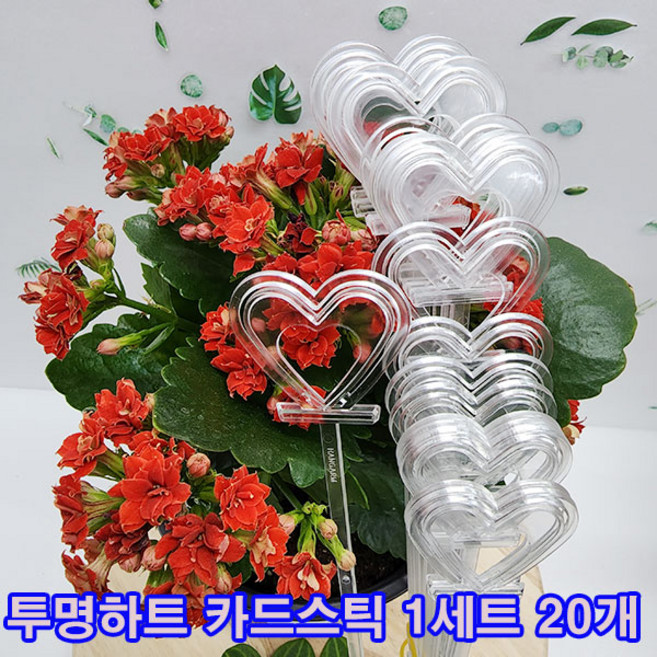 (샤인몰) 국내산 투명하트 카드스틱(20개-1세트) 무료배송/장식픽//메모꽃이/꽃바구니스틱, 20개