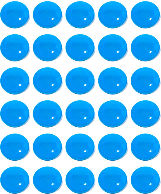 선진문구 컬러 원형 자석 32mm, 30개, 블루