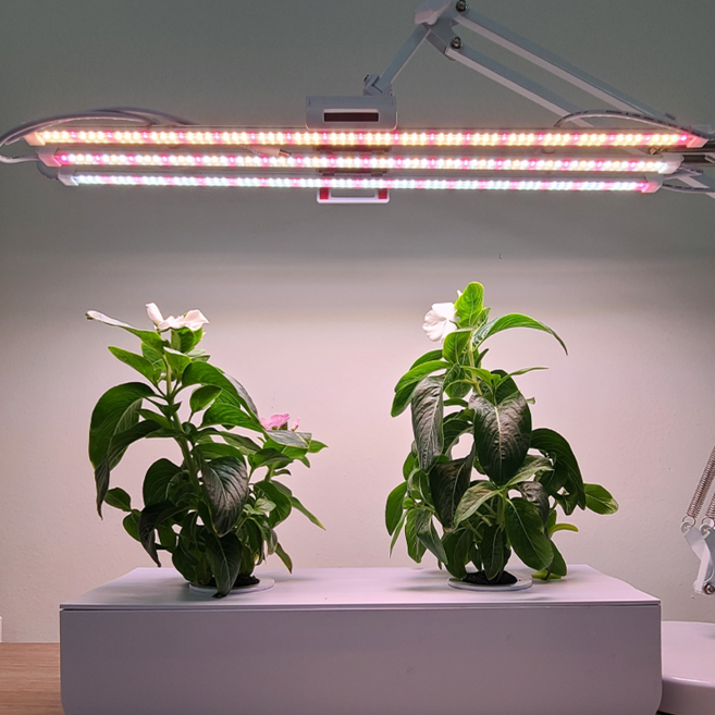 풀나옴 식물등 LED 10W 식물성장조명, 1개, 전구색