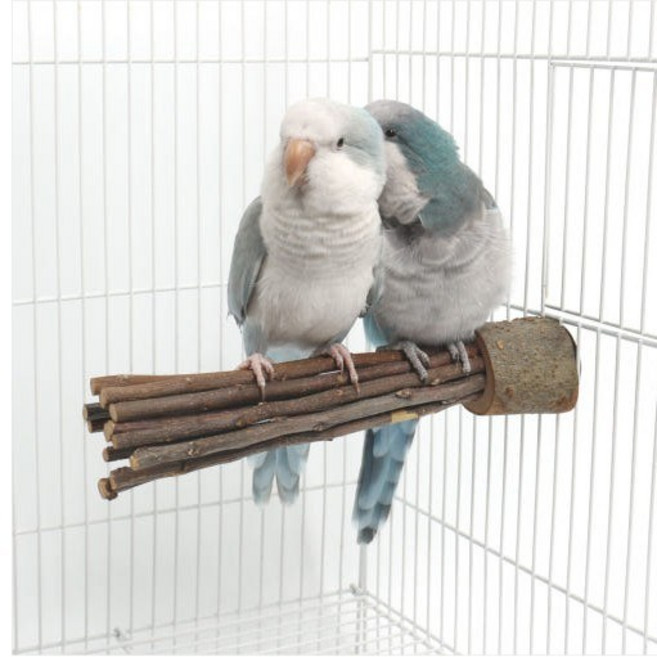 애니버드샵 앵무새 횃대 장난감 사과나무 뜯뜯 원목 부리갈이 발톱갈이 스트레스 해소 용품, 1개, M(소형)