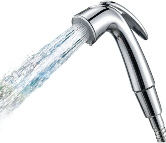 대림바스 스프레이건 욕실청소 미니건 DLS4194, 크롬, 1개