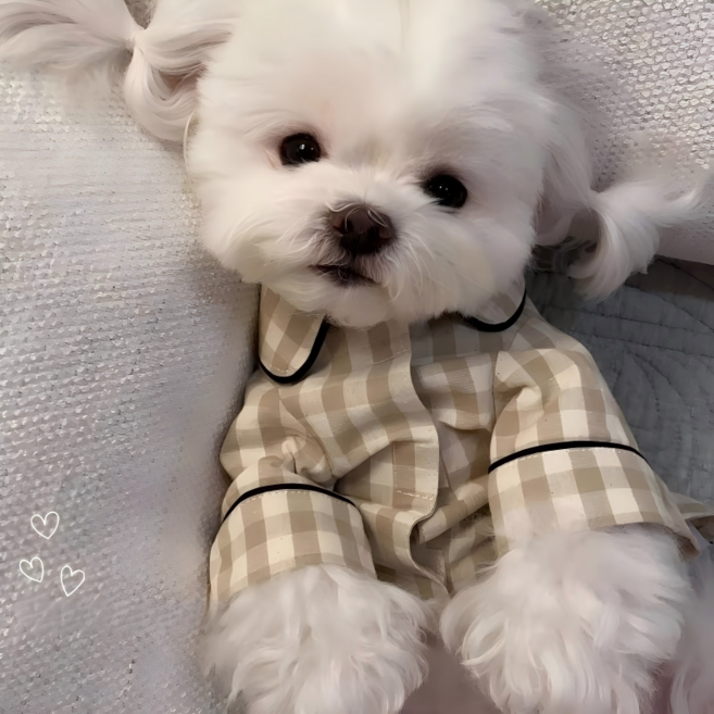 강아지 체크 파자마 편안한 반려견 홈웨어 잠옷, 베이지 체크, 1개