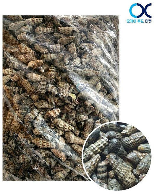 냉동 자숙 갯고동 1kg 갯고둥 바다고동 올갱이 바다다슬기, 1개