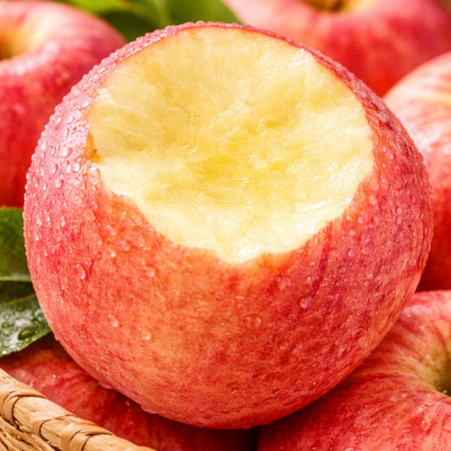 [농가직판특가] 50박스한정 청송햇사과 초고당도 부사사과, 1개, 5kg