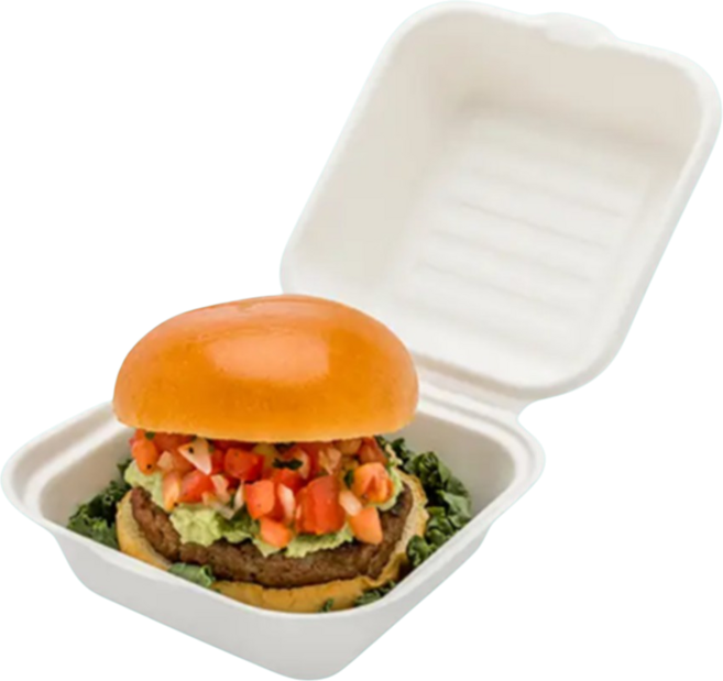 테이크아웃패키지 B003 펄프용기 화이트, 1세트, 50개입