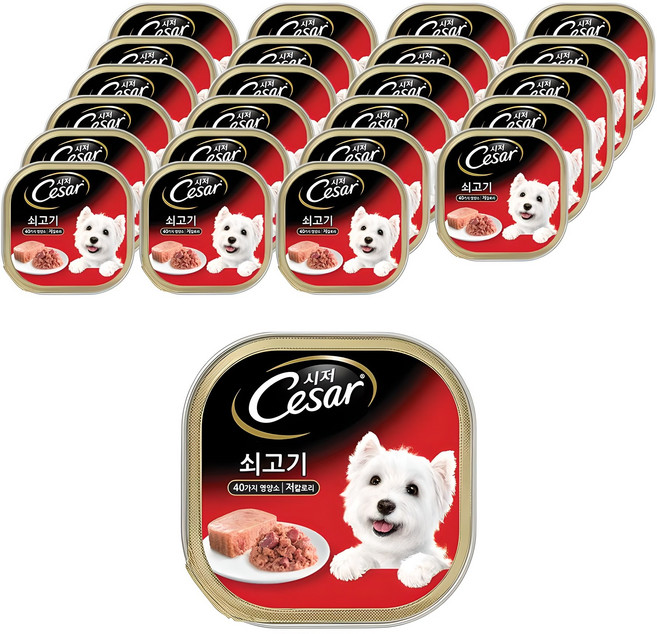 시저 1세 이상 강아지 주식캔, 소, 100g, 24개