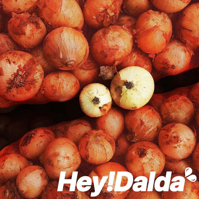 [26년 무안 햇 양파] 무안직송 햇 양파 조생양파 3kg 5kg 10kg, 1박스, 양파 5kg(소)