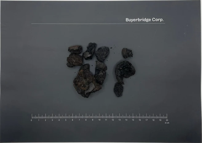 블랙월넛 흑호두 껍질 Black Walnut Shell Juglans nigra 100g, 1개 - 쿠팡