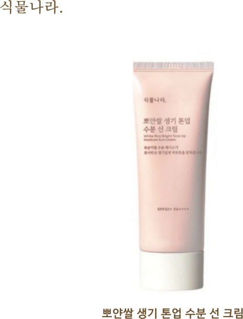 식물나라 산소수 생기 수분 톤업 선크림 100ml SPF50+ PA++++ [클렌징폼 샘플증정], 2개