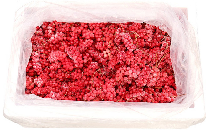 자연닮음 올해수확 최상급 급속냉동 생오미자 생과 15kg 오미자청 당절임용, 1개