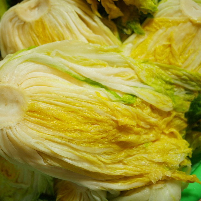 (예약배송) 국산 땅끝 해남 절임배추 20kg 직거래 소금 절임 절인 배추, <a.1> 월요일 출고 화요일 도착, 1개