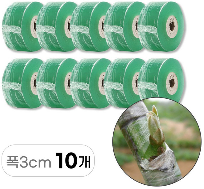 원예용 접목 테이프, 3cm x 100m, 10개