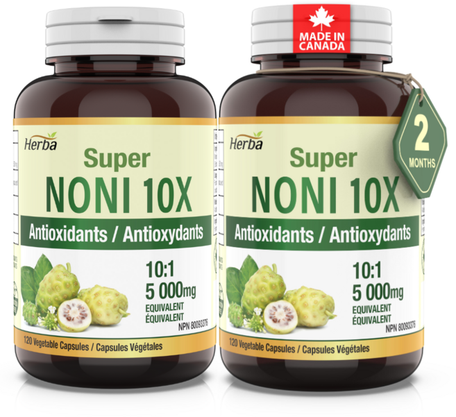 노니 캡슐 10000mg 120식물성캡슐 10배 농축 노니환 허바 캐나다, 120정, 2개