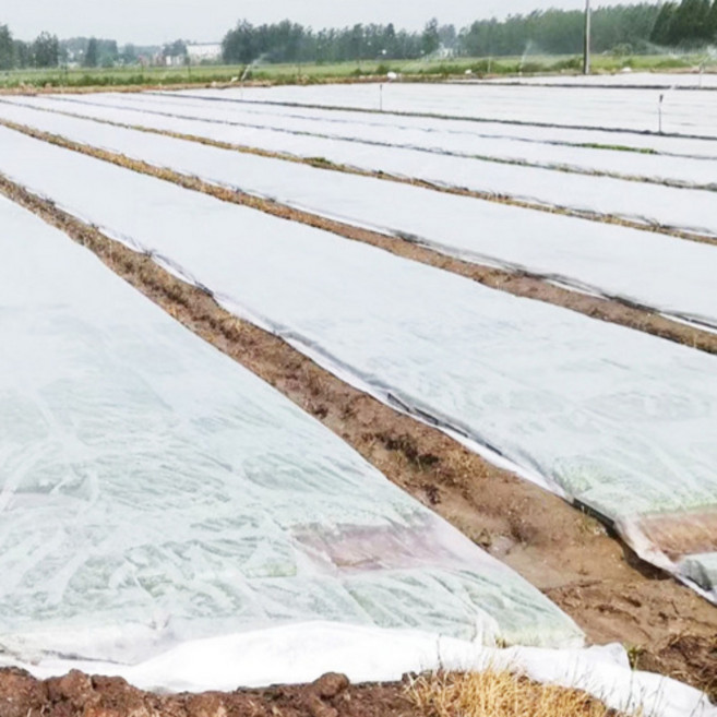 텃밭용 못자리 보온 부직포 20g 소포장 10m, 1개