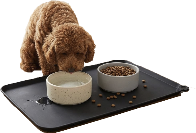 윌리펫 실리콘 펫 식기매트, 1개, 다크그레이