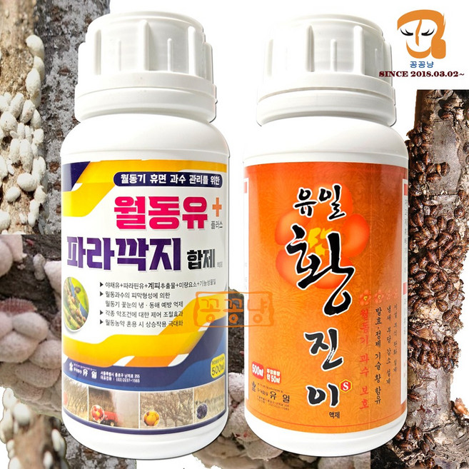 기계유제 월동유 파라 깍지 합제 500ml/유황 비료 황진이 500ml 1set +계량컵 식물이름표 과수나무 유실수 보호제 벌레 병해충방제 기계유유제 대용 파라핀유 나무 안심사용, 1개