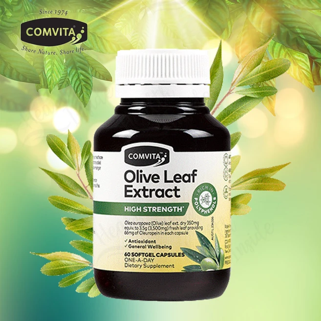 콤비타 고함량 올리브잎 추출액 60캡슐, 1개, 60정 - 쿠팡