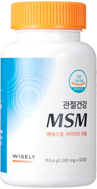 와이즐리 최대 함량 미국산 MSM 비타민D3 관절 건강 MSM, 1개, 120정