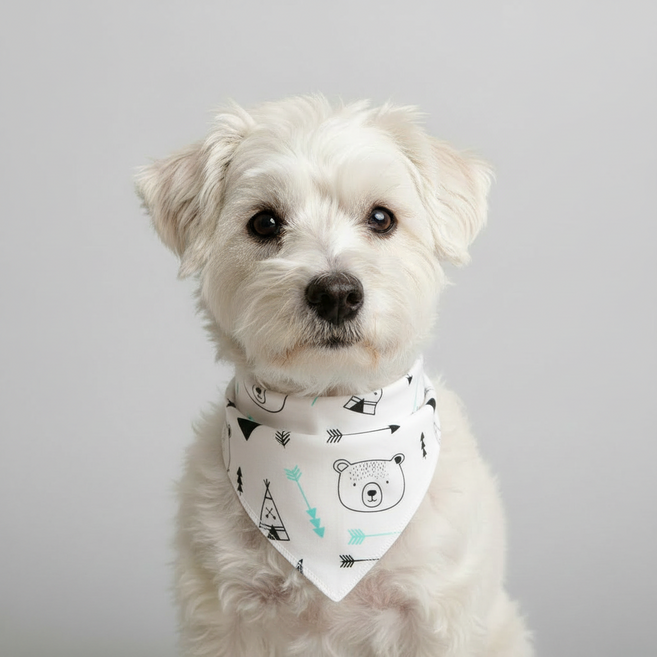 아이펫스맘 면 100% 스냅단추 강아지 고양이 반다나 스카프빕 턱받이 케이프, 1개, 18