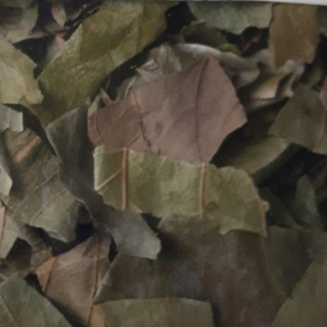 은은하고 부드러운 향 자연의 조화 국내산 말린 건조 시엽 감잎 감나무잎, 1세트, 600g