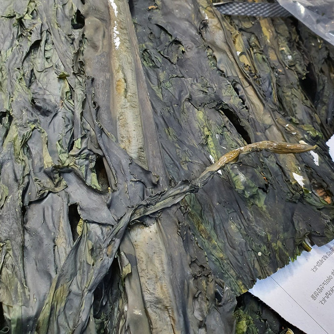 순자네 산모미역 거제도 여차 돌미역 자연산돌미역 2025년, 300g, 2개