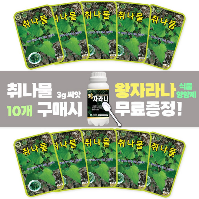 산들마켓 취나물 씨앗 3g 향이 진하고 맛이 좋은 재래종 국내산 종자 10개 + 왕자라나 500ml 1개