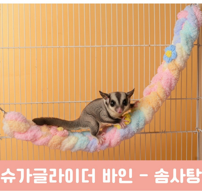 피그미다람쥐 슈가글라이더 포근한 해먹 바인 은신처 놀이터, 1개, 솜사탕