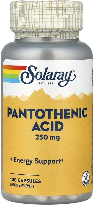 Solaray 솔라레이 판토텐산 100 캡슐 건강관리 영양제, 1개, 100정 - 쿠팡