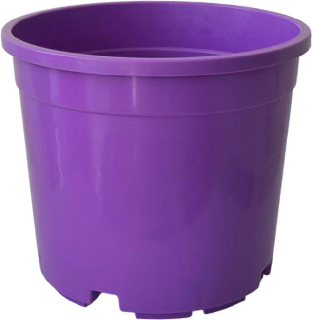 컬러포트 플라스틱 pp 화분 7색, 보라
