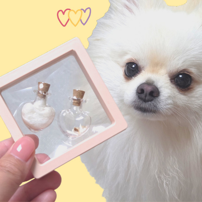 YONGYONG 강아지 유치 배냇털 보관함 하트유리병 단독기획, 1박스, 화이트