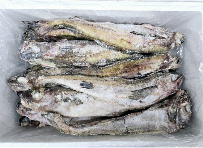 명태 8통 냉동 동태 10k 15마리 동태탕 찜용 업소용, 1개, 9k