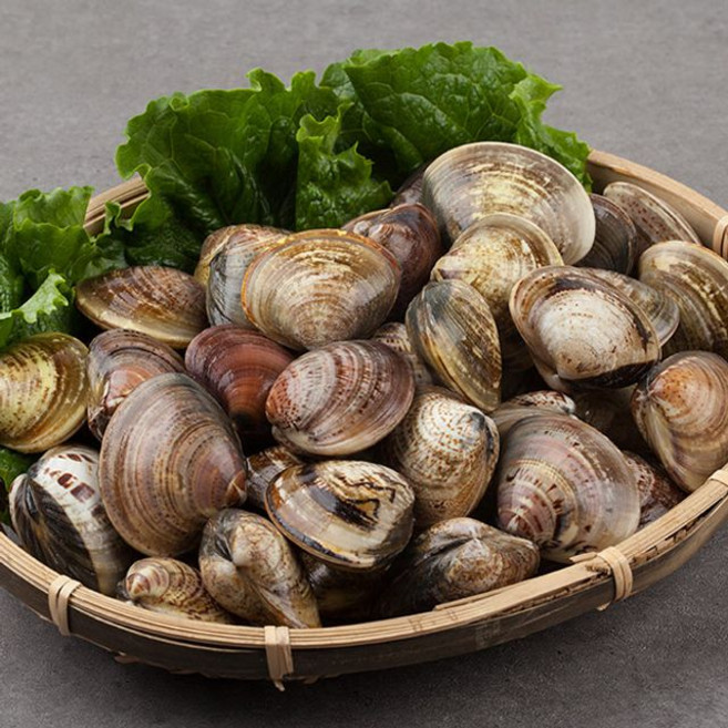 GN2510 국내산 활 바지락 1kg, 1개