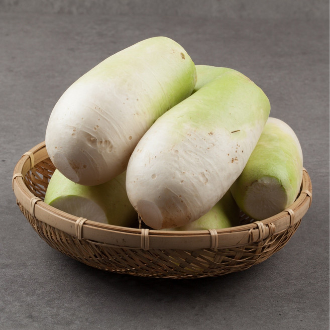 맛있는 제주도 무우 제주무 세척 월동무 김장무, 1개