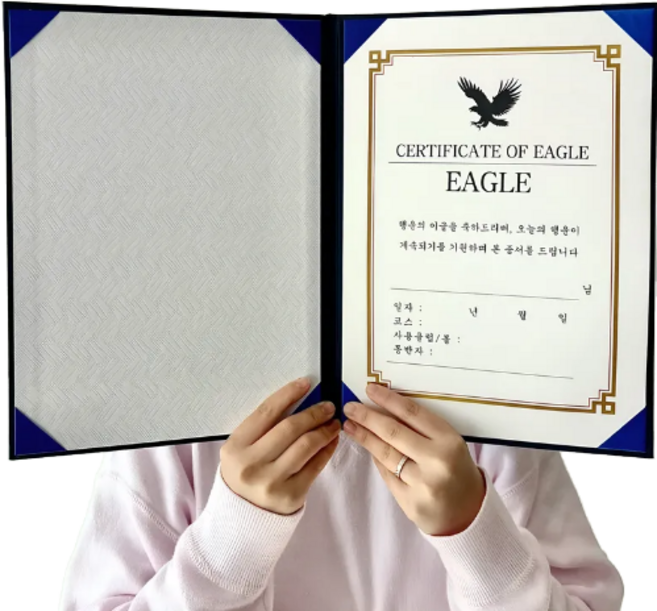 상장 만들기 이글 홀인원 싱글 기념패 트로피 선물, 1개, 이글 상장